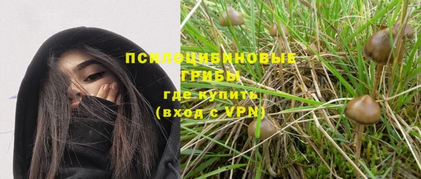 прущие грибы Покров