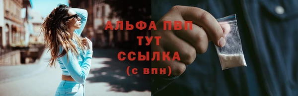 прущие грибы Покров