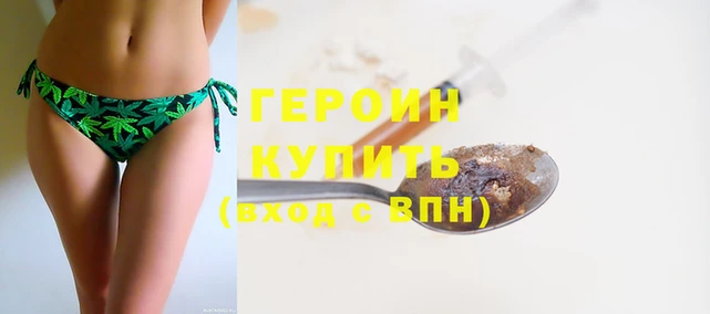 прущие грибы Покров