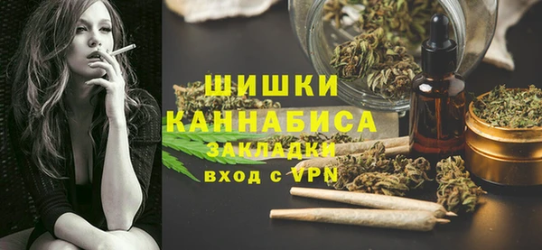 прущие грибы Покров