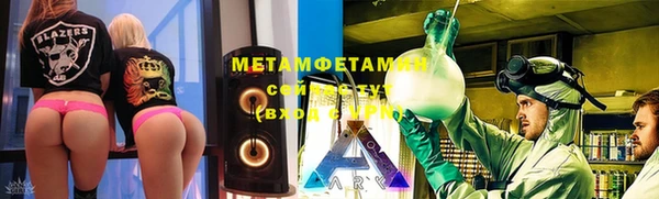 прущие грибы Покров