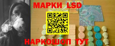 мдпв Бийск