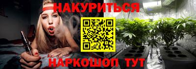 мдпв Бийск