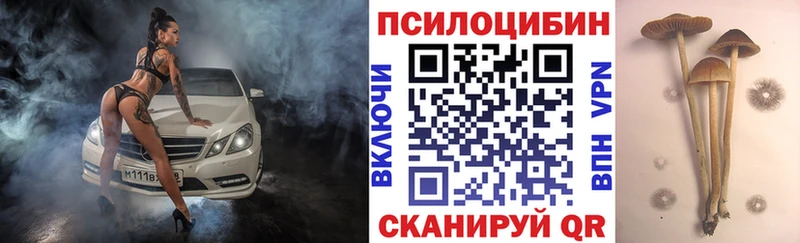 Псилоцибиновые грибы Psilocybine cubensis  Владивосток 