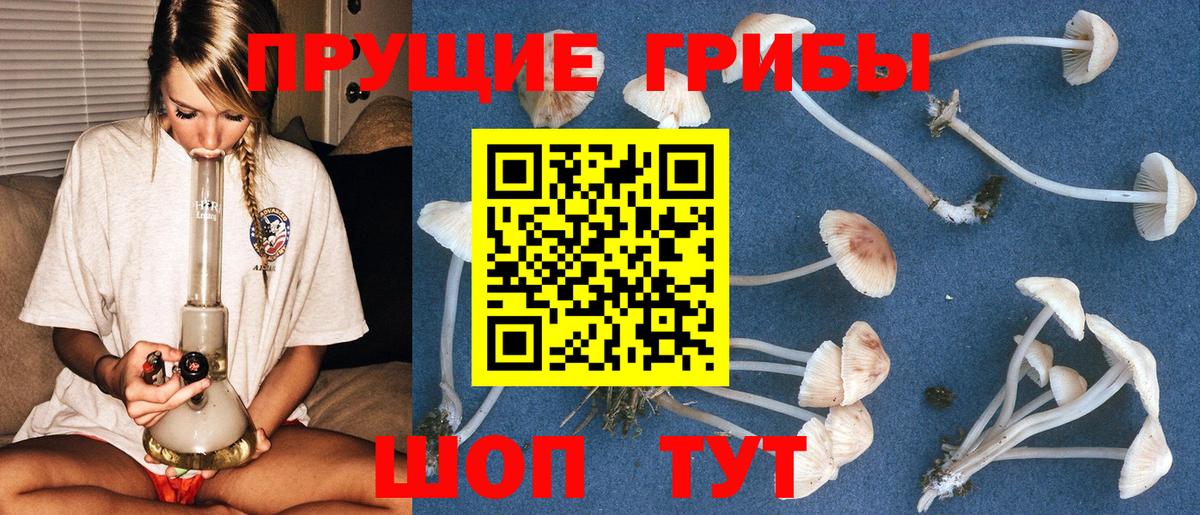 Псилоцибиновые грибы MAGIC MUSHROOMS  где можно купить   Владивосток  Галлюциногенные грибы ЛСД 