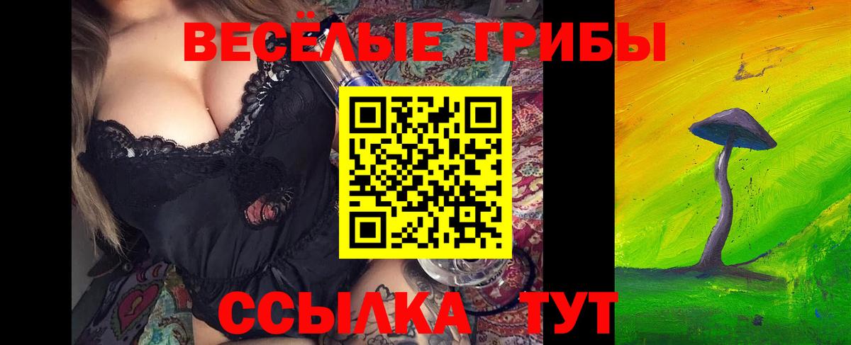 Псилоцибиновые грибы Psilocybine cubensis  Вход с VPN  Владивосток 