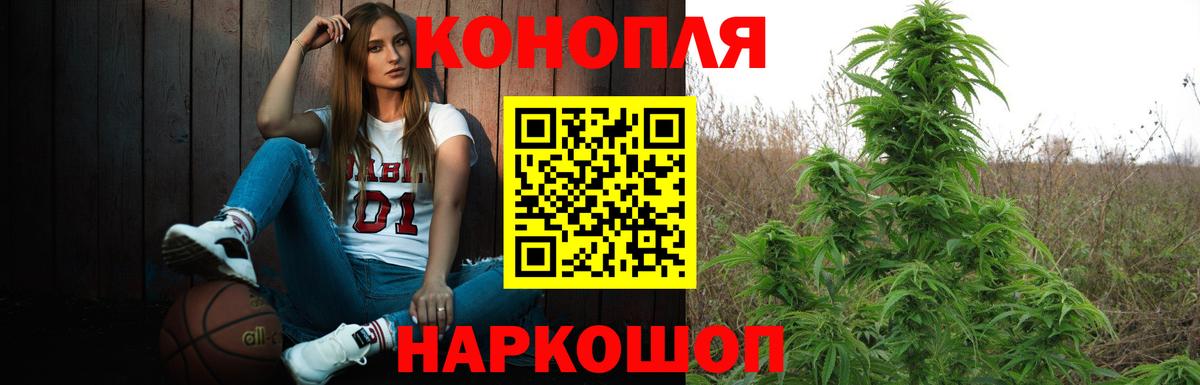 Марихуана White Widow  МАРИХУАНА ГИДРОПОН  Владивосток  Каннабис AK-47 